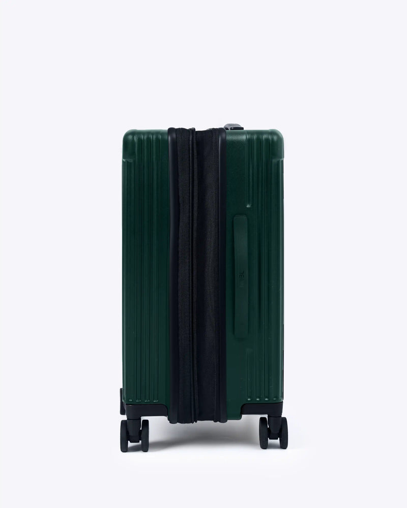 #color_forest green