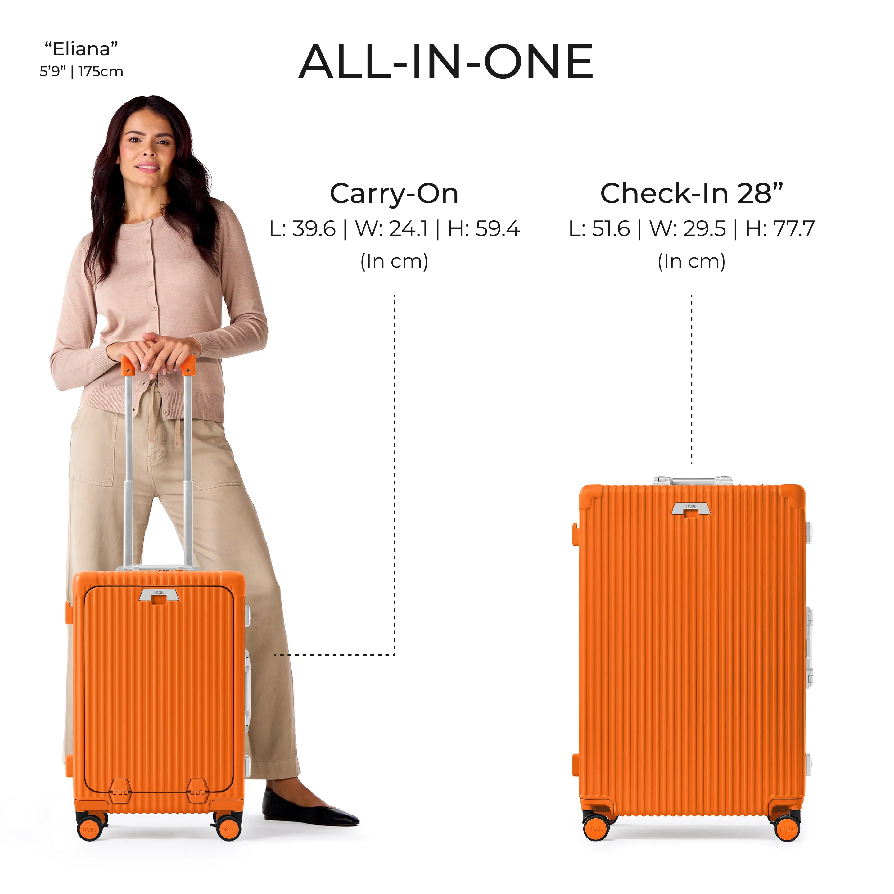 Mobile Image for Sorbet Orange