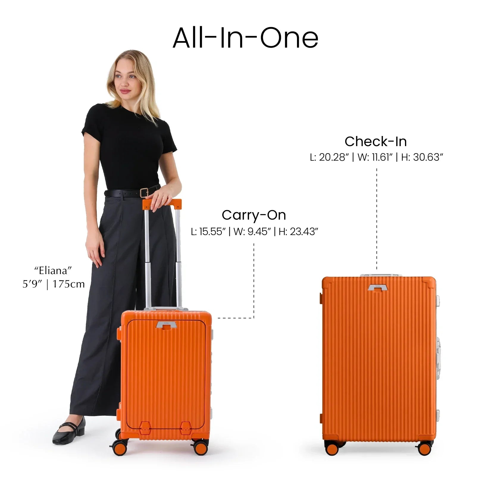 Mobile Image for Sorbet Orange