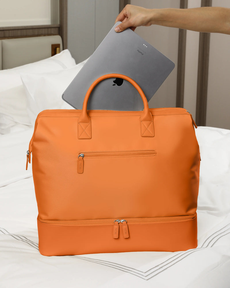 #color_sorbet orange